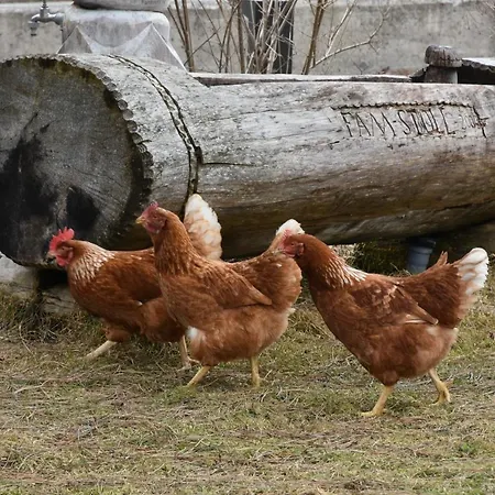 Auenhof Appartement *