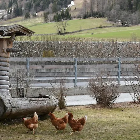 Auenhof Apartamento *