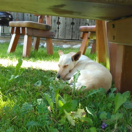 Auenhof Appartement *