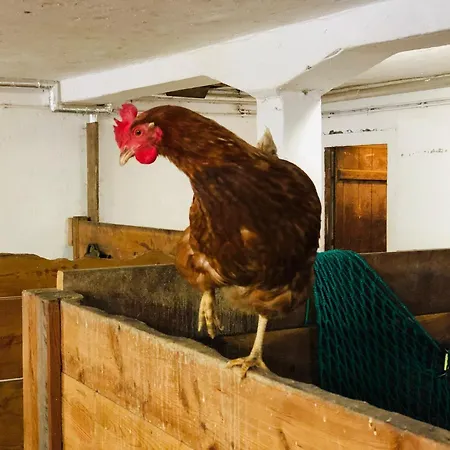 Διαμέρισμα Auenhof